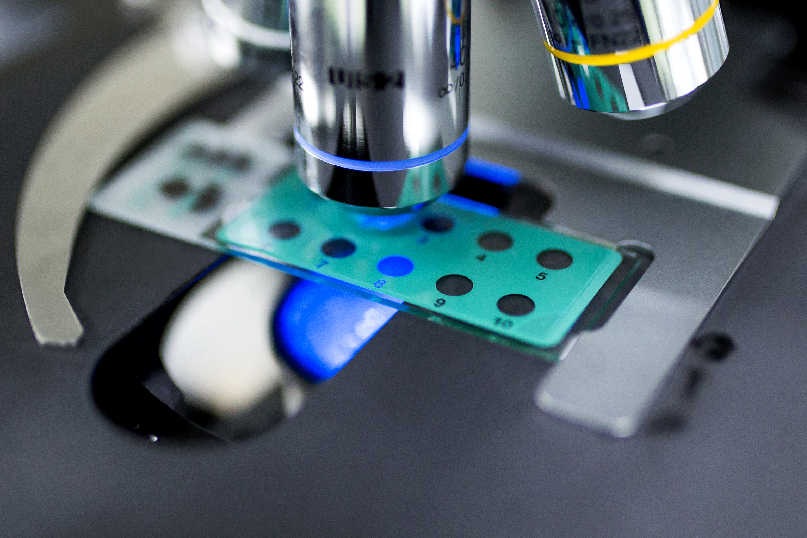 EZPAYǮ����(�й���)-�ٷ���վ