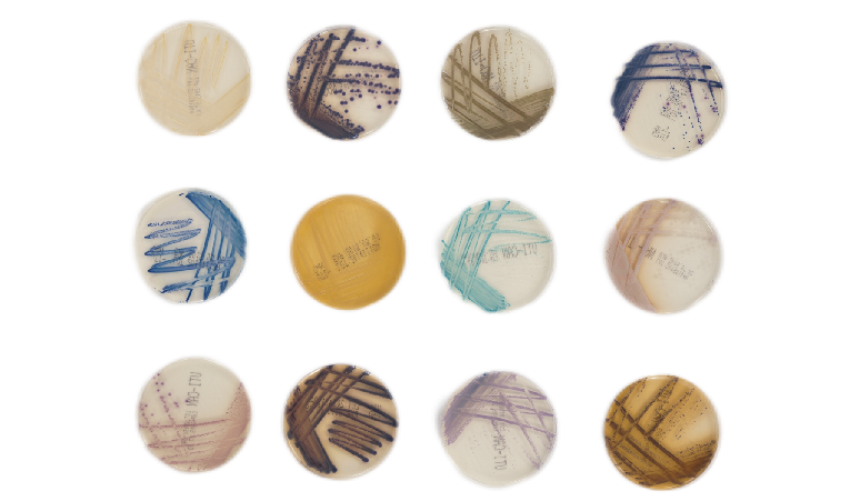 EZPAYǮ����(�й���)-�ٷ���վ