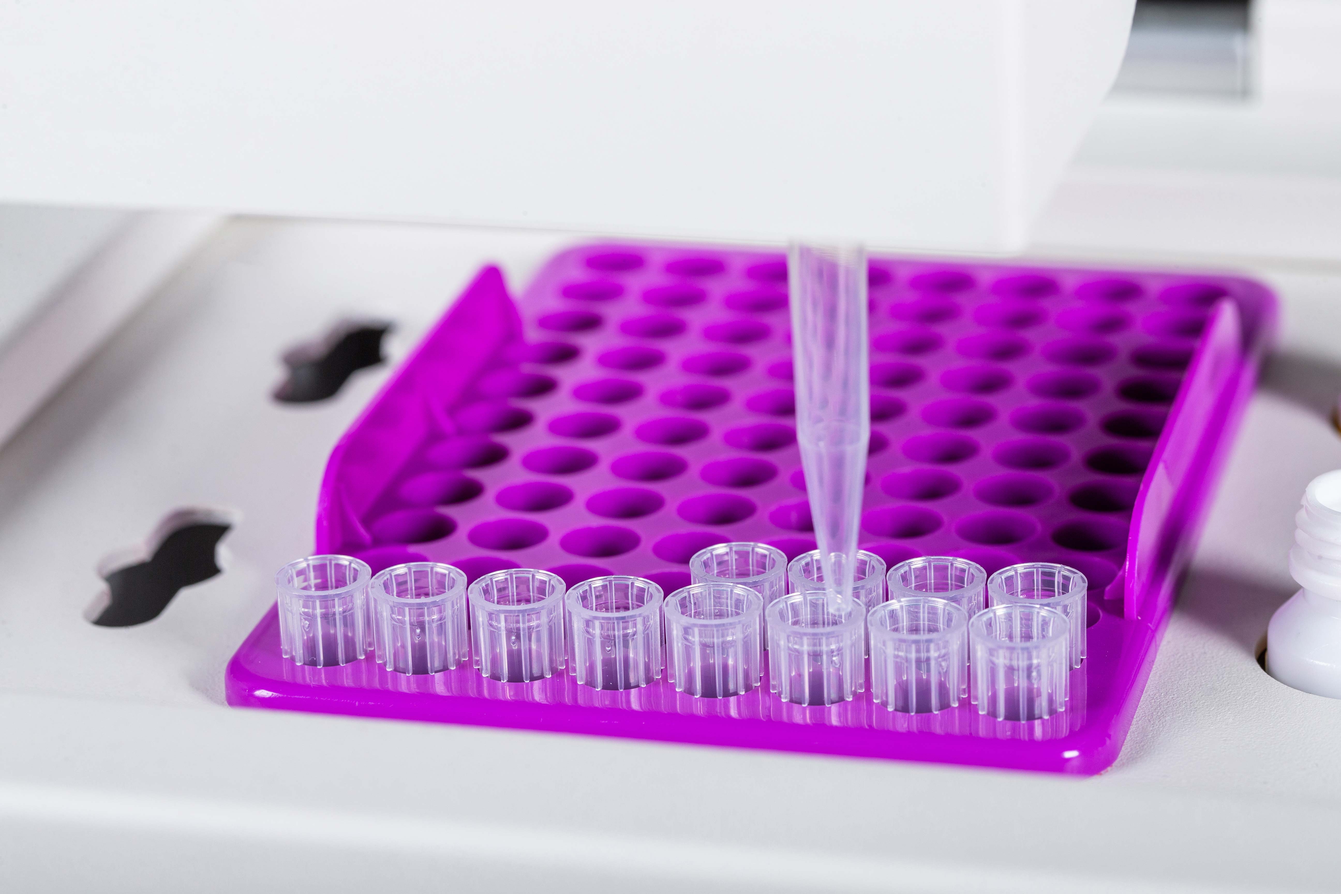 EZPAYǮ����(�й���)-�ٷ���վ