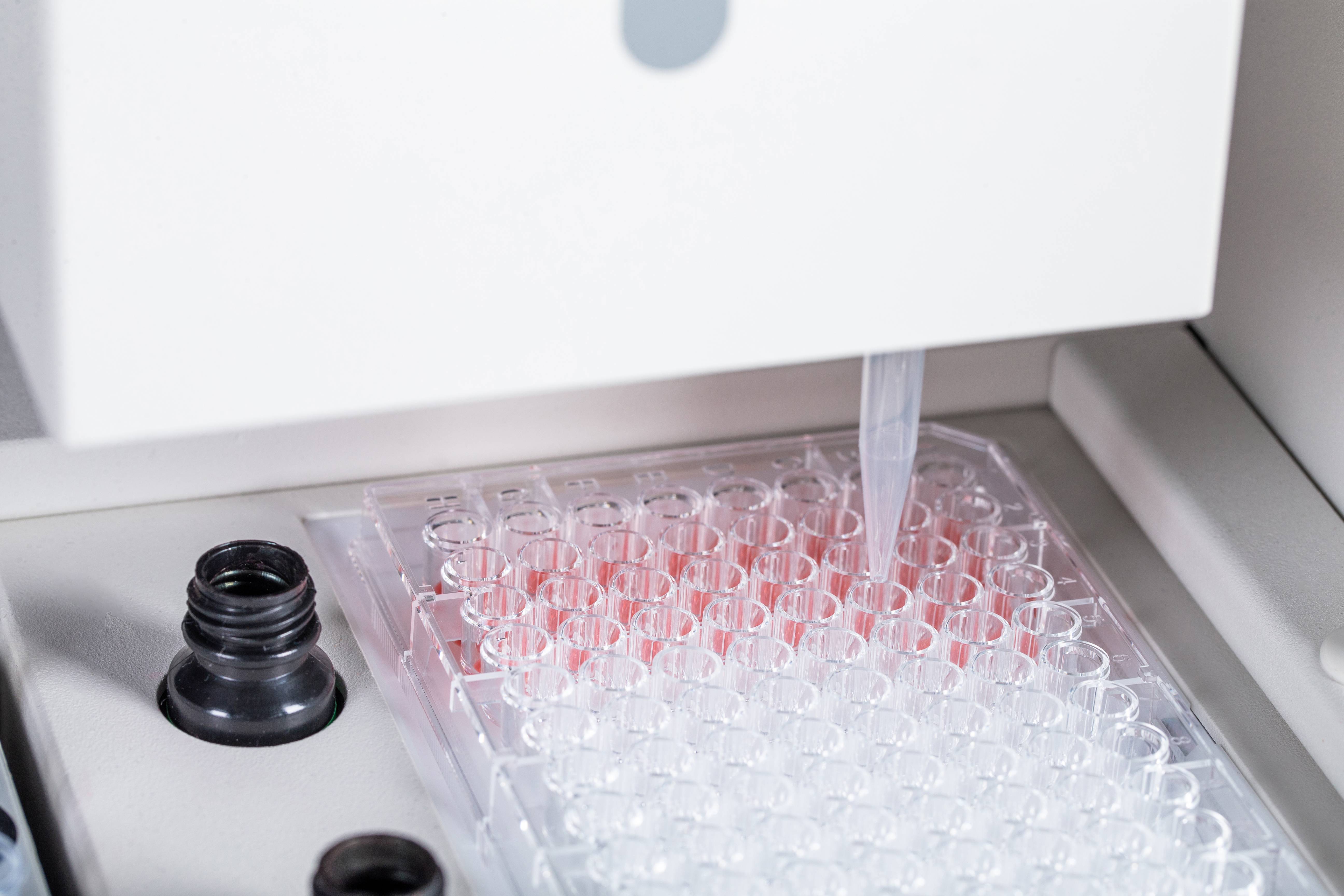 EZPAYǮ����(�й���)-�ٷ���վ