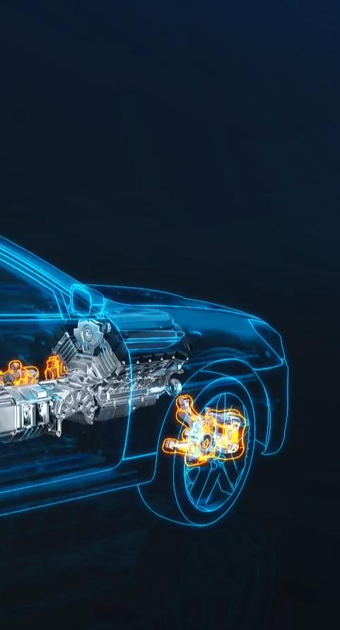 �����㲿��